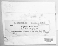 Mycosphaerella rubi image